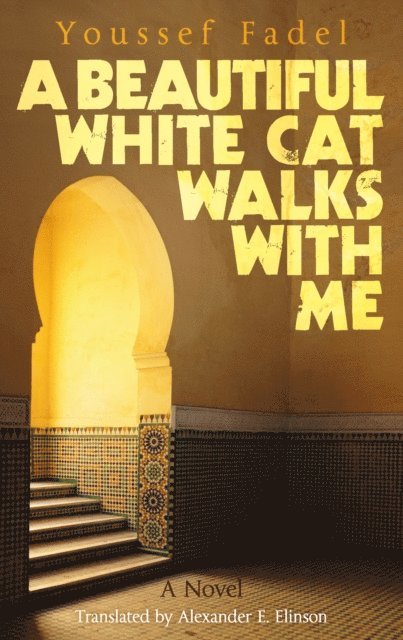 Youssef Fadel - Beautiful White Cat Walks with Me, E-bok