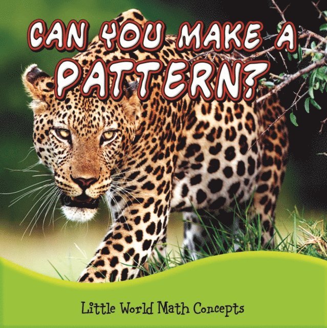Lin Picou - Can You Make A Pattern?, E-bok