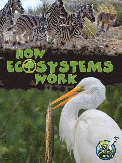 Julie Lundgren - How Ecosystems Work, E-bok. Tillgänglighet: Lägg i varukorg