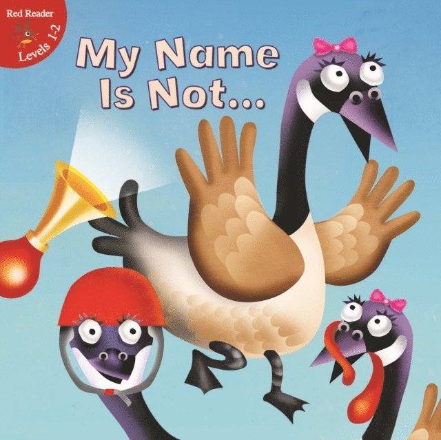 J. Jean Robertson - My Name Is Not..., E-bok