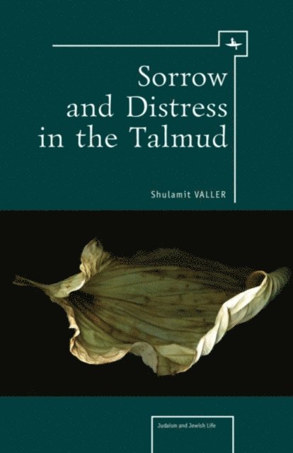 Shulamit Valler - Sorrow and Distress in the Talmud, E-bok