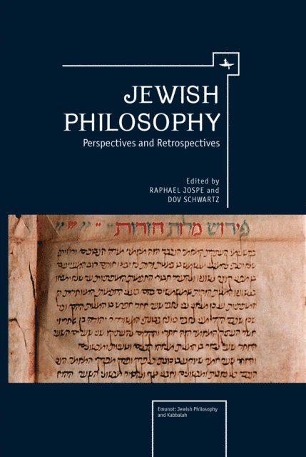 Dov Schwartz, Raphael Jospe - Jewish Philosophy, E-bok