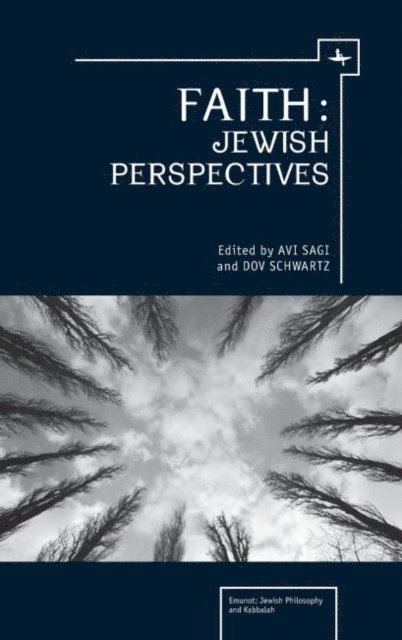 Avi Sagi, Dov Schwartz - Faith, E-bok