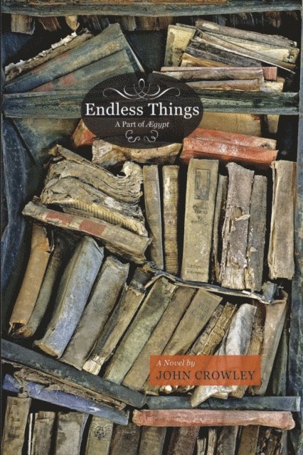 John Crowley - Endless Things, E-bok