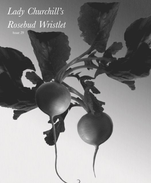 Gavin J Grant, Kelly Link - Lady Churchill's Rosebud Wristlet No. 29, E-bok