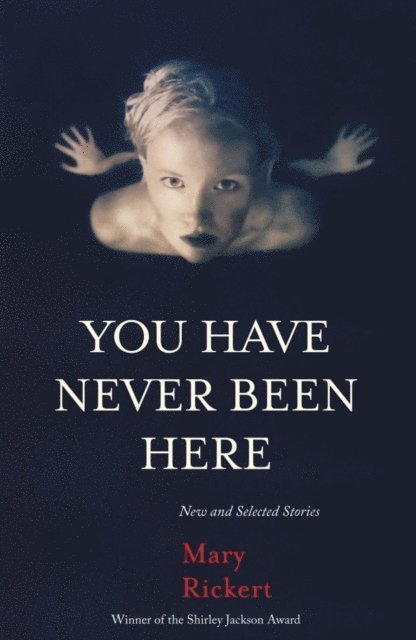 Mary Rickert - You Have Never Been Here, E-bok