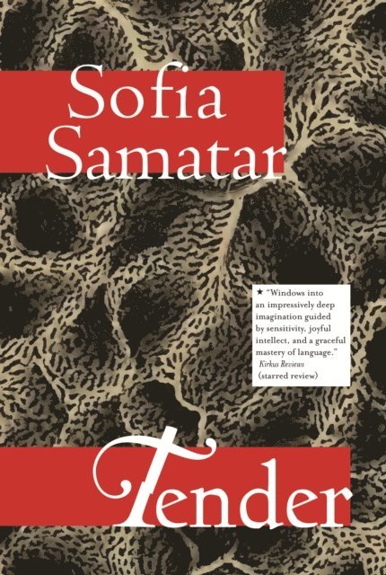 Sofia Samatar - Tender, E-bok