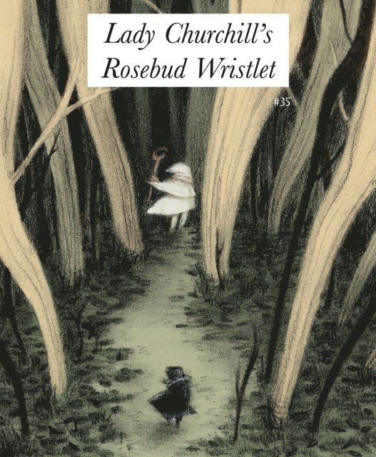 Gavin J Grant, Kelly Link - Lady Churchill's Rosebud Wristlet No. 35, E-bok