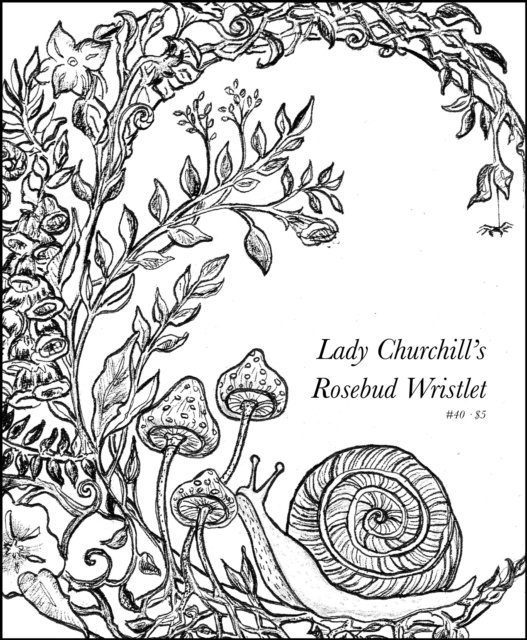 Gavin J. Grant, Kelly Link - Lady Churchill's Rosebud Wristlet No. 40, E-bok