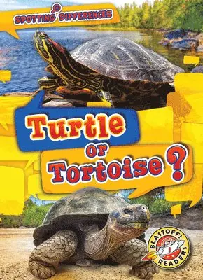 Kirsten Chang - Turtle or Tortoise?, Häftad. Tillgänglighet: Tillfälligt slut