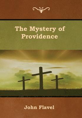 John Flavel - Mystery of Providence, Inbunden