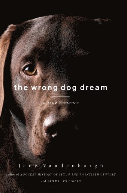 Jane Vandenburgh - Wrong Dog Dream, E-bok