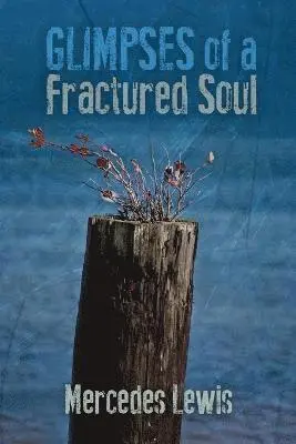 Mercedes Lewis - Glimpses of a Fractured Soul, Häftad. Tillgänglighet: Tillfälligt slut