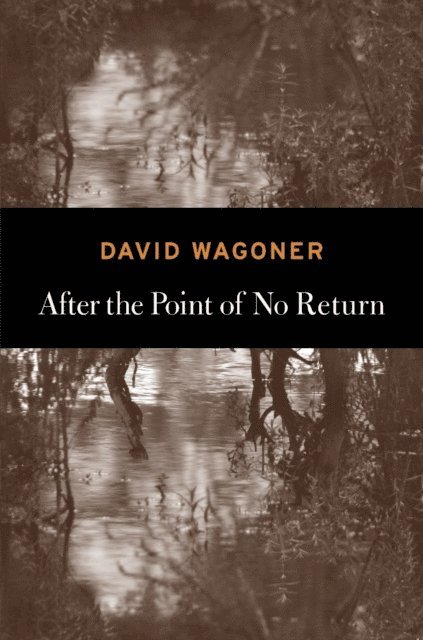 David Wagoner - After the Point of No Return, E-bok
