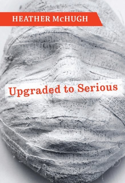 Heather McHugh - Upgraded to Serious, E-bok