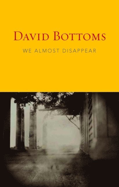 David Bottoms - We Almost Disappear, E-bok