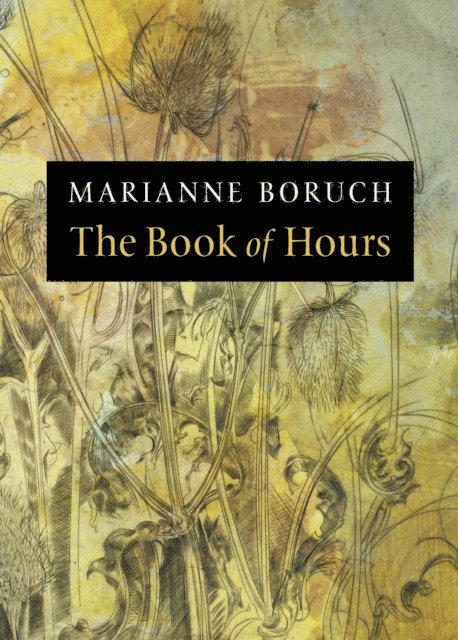 Marianne Boruch - Book of Hours, E-bok