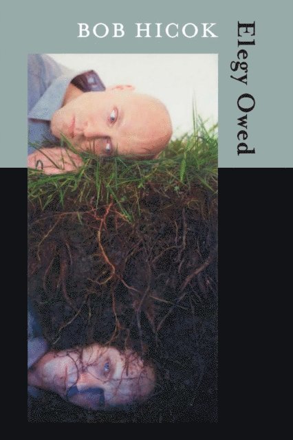 Bob Hicok - Elegy Owed, E-bok