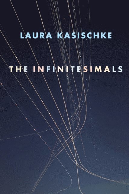 Laura Kasischke - Infinitesimals, E-bok
