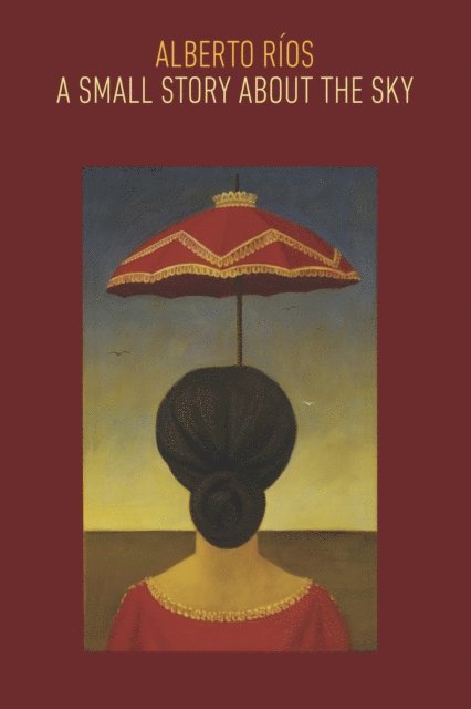 Alberto Rios - Small Story about the Sky, E-bok