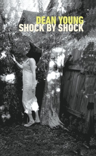 Dean Young - Shock by Shock, E-bok