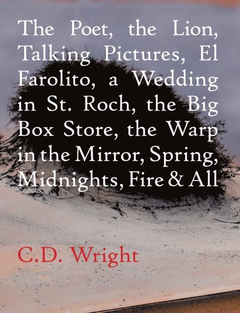 C.D. Wright - Poet, The Lion, Talking Pictures, El Farolito, A Wedding in St. Roch, The Big Box Store, The Warp in the Mirror, Spring, Midnights, Fire & All, E-bok