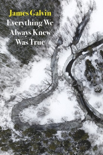James Galvin - Everything We Always Knew Was True, E-bok