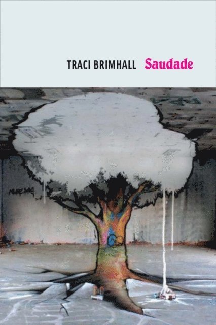 Traci Brimhall - Saudade, E-bok