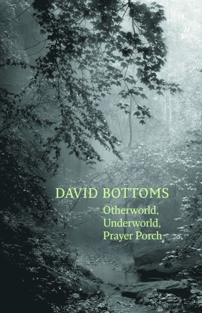 David Bottoms - Otherworld, Underworld, Prayer Porch, E-bok