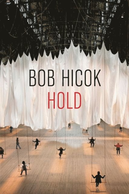 Bob Hicok - Hold, E-bok