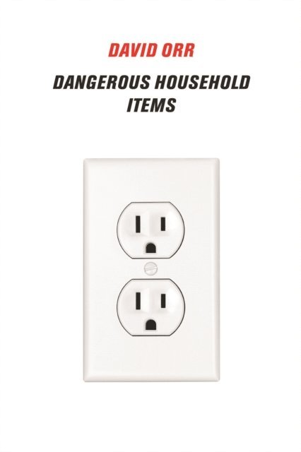 David Orr - Dangerous Household Items, E-bok