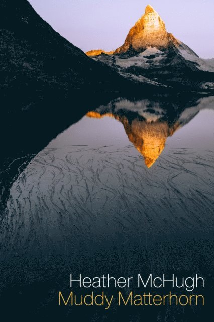 Heather McHugh - Muddy Matterhorn, E-bok