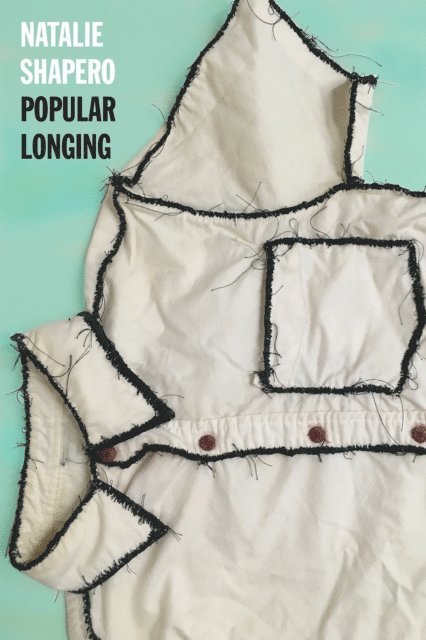 Natalie Shapero - Popular Longing, E-bok