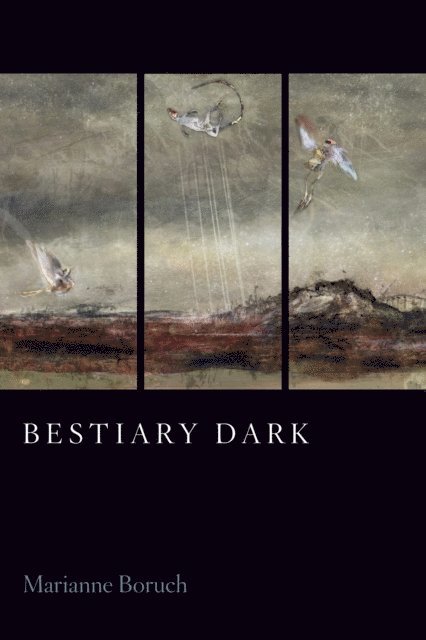 Marianne Boruch - Bestiary Dark, E-bok