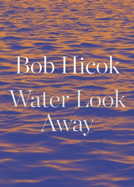 Bob Hicok - Water Look Away, E-bok