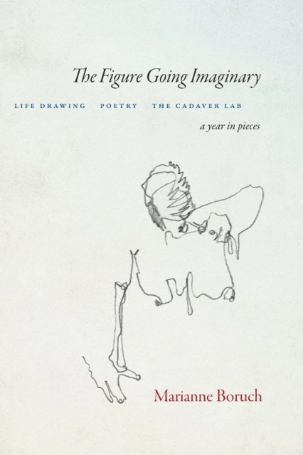 Marianne Boruch - Figure Going Imaginary, E-bok
