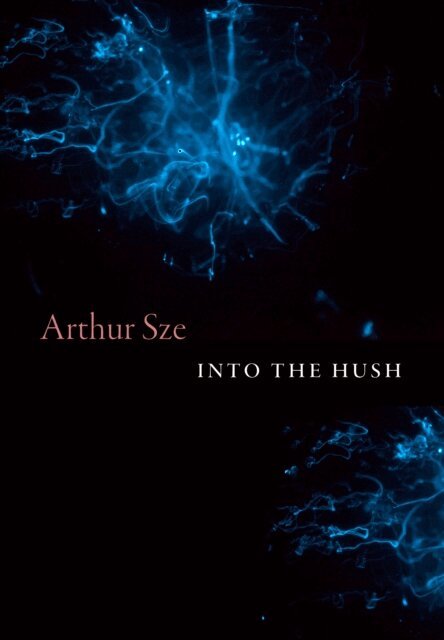 Arthur Sze - Into the Hush, E-bok