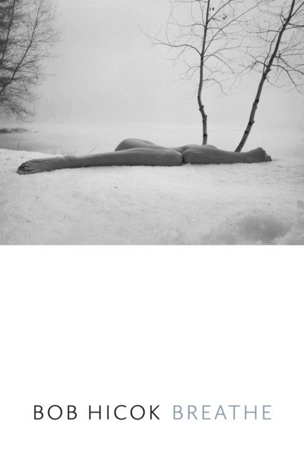 Bob Hicok - Breathe, E-bok
