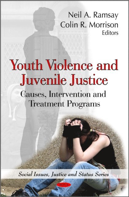 Neil A. Ramsay - Youth Violence and Juvenile Justice: Causes, Intervention and Treatment Programs, E-bok