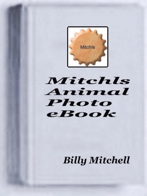Billy Mitchell - Mitchls Animal Photo Book, E-bok. Tillgänglighet: Lägg i varukorg