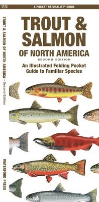 James Kavanagh - Trout & Salmon of North America, 2nd Ed, Övrigt