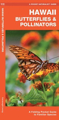 James Kavanagh - Hawaii Butterflies & Pollinators. Tillgänglighet: Tillfälligt slut