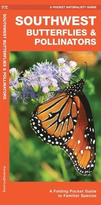 James Kavanagh - Southwest Butterflies & Pollinators, Övrigt