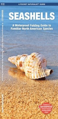 James Kavanagh - Seashells, 2nd Ed, Övrigt