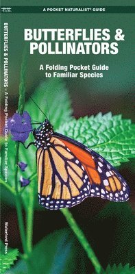 James Kavanagh - Butterflies & Pollinators, Övrigt