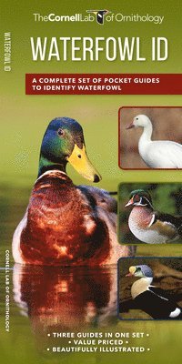 Kevin J McGowan - Waterfowl Id Set, Övrigt