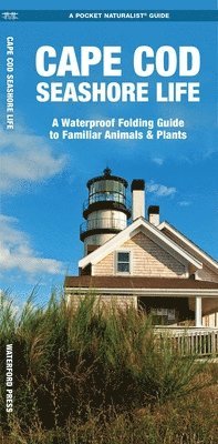 J M Kavanagh - Cape Cod Seashore Life, Övrigt. Tillgänglighet: Lägg i varukorg