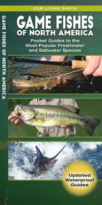 James Kavanagh, Waterford Press - Game Fishes of North America, Övrigt