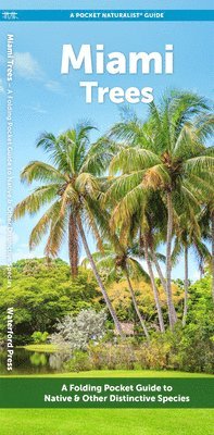 Waterford Press - Miami Trees, Övrigt. Tillgänglighet: Tillfälligt slut