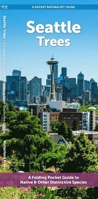 J M Kavanagh - Seattle Trees, Övrigt